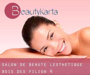 Salon De Beaute L'esthetique (Bois-des-Filion) #4