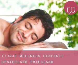 Tijnje wellness (Gemeente Opsterland, Friesland)