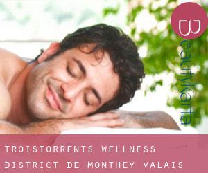 Troistorrents wellness (District de Monthey, Valais)