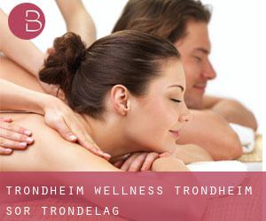 Trondheim wellness (Trondheim, Sør-Trøndelag) Trondheim wellness (Trondheim, Sør-Trøndelag)