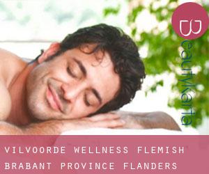 Vilvoorde wellness (Flemish Brabant Province, Flanders)